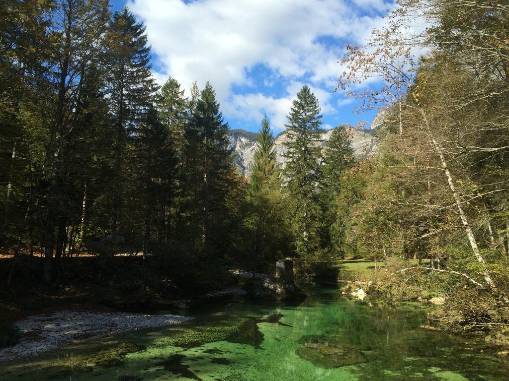 Apartments Ukanc Bohinj Εξωτερικό φωτογραφία